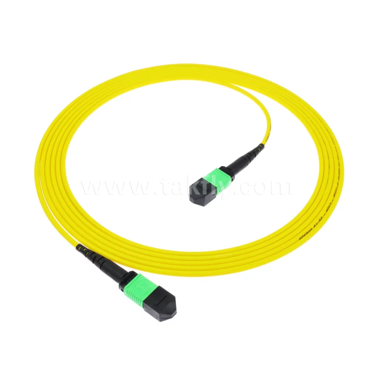 MPO/MTP SM Patch Cord1