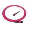 MPO/MTP OM4 Patch Cord1
