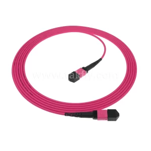MPO/MTP OM4 Patch Cord1