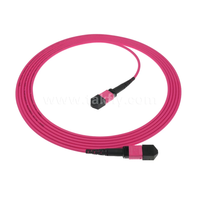 MPO/MTP OM4 Patch Cord1