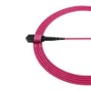 mpo optical connector
