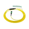 uniboot patch cord