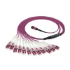MPO/MTP-LC Uniboot OM4 Breakout Patch Cord1
