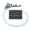MPO OM3 ABS PLC3